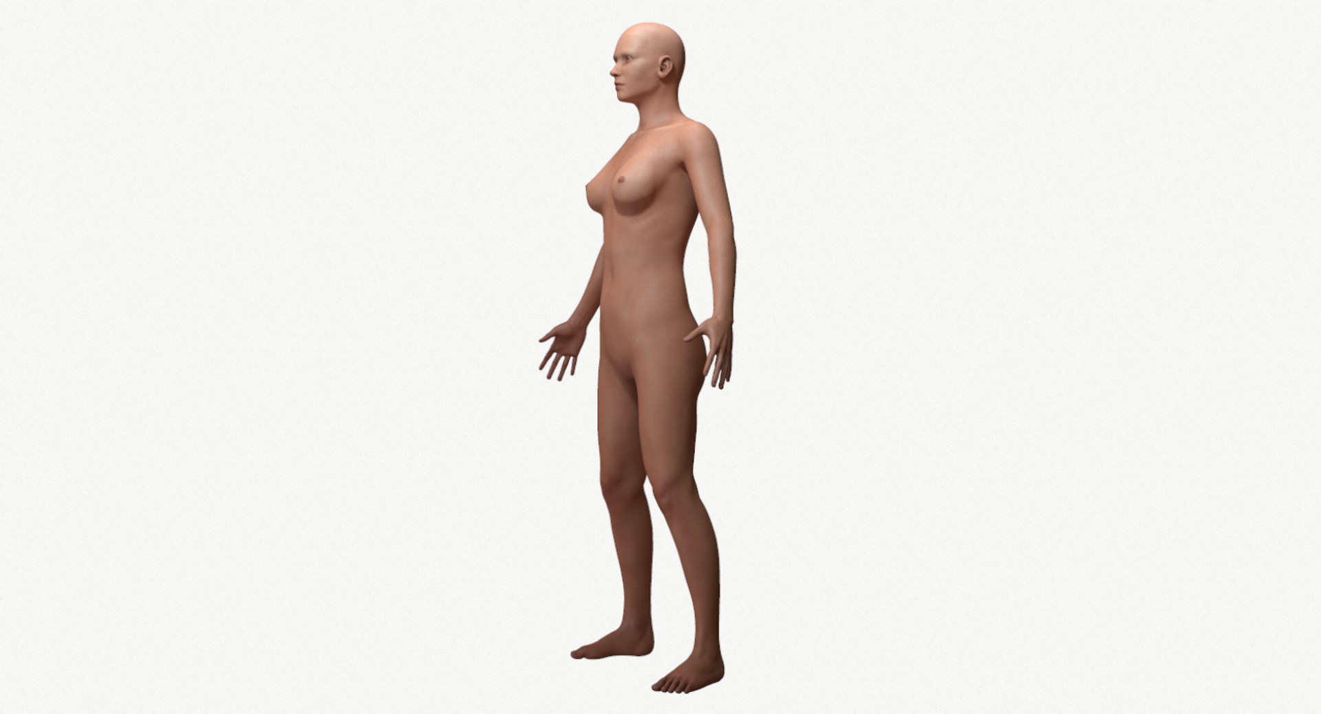 female base head mesh 3D model https://p.turbosquid.com/ts-thumb/XN/DJ6osR/BLV6ohHV/screenshot007/png/1591657945/1920x1080/fit_q87/73f1238ef37dc63315db83b1085b882fefdb16d7/screenshot007.jpg