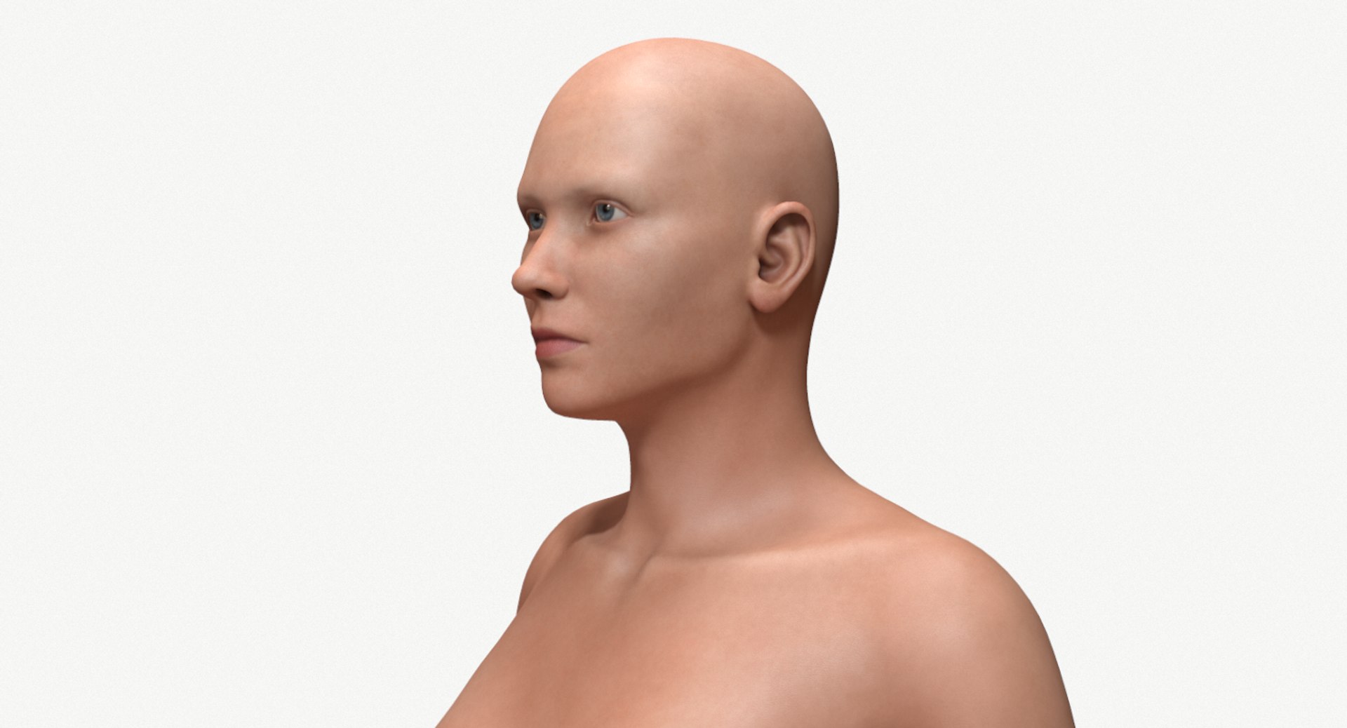 female base head mesh 3D model https://p.turbosquid.com/ts-thumb/XN/DJ6osR/GZUnrrmm/screenshot002/png/1591657945/1920x1080/fit_q87/b91c024ef4599b2ef3f70f1d5465d216ca84399d/screenshot002.jpg