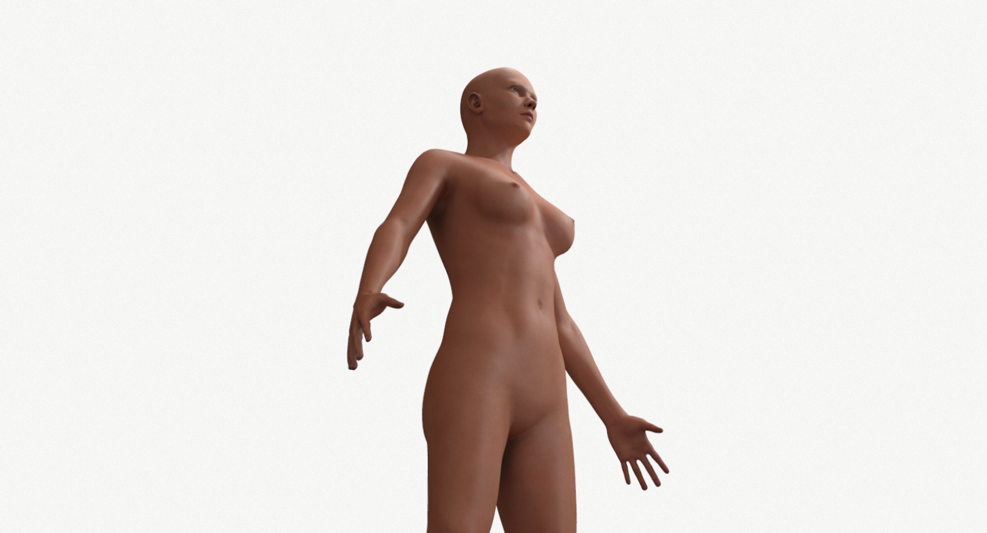 female base head mesh 3D model https://p.turbosquid.com/ts-thumb/XN/DJ6osR/ZE4LnG5S/screenshot012/png/1591657945/1920x1080/fit_q87/135c4e9205b72f0d06250b1a48b4cb7092b11600/screenshot012.jpg