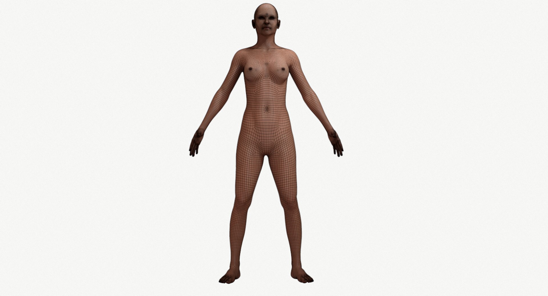 female base head mesh 3D model https://p.turbosquid.com/ts-thumb/XN/DJ6osR/eZLebpM6/screenshot013/png/1591657945/1920x1080/fit_q87/99b0d4a4466e5eee0e72cb133a0874005f6d2ce6/screenshot013.jpg