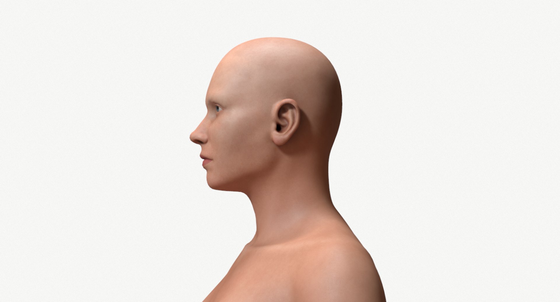female base head mesh 3D model https://p.turbosquid.com/ts-thumb/XN/DJ6osR/yO7s8vpP/screenshot003/png/1591657945/1920x1080/fit_q87/16cee53c76a03da9f9755ae52c8a8b7885405fbf/screenshot003.jpg