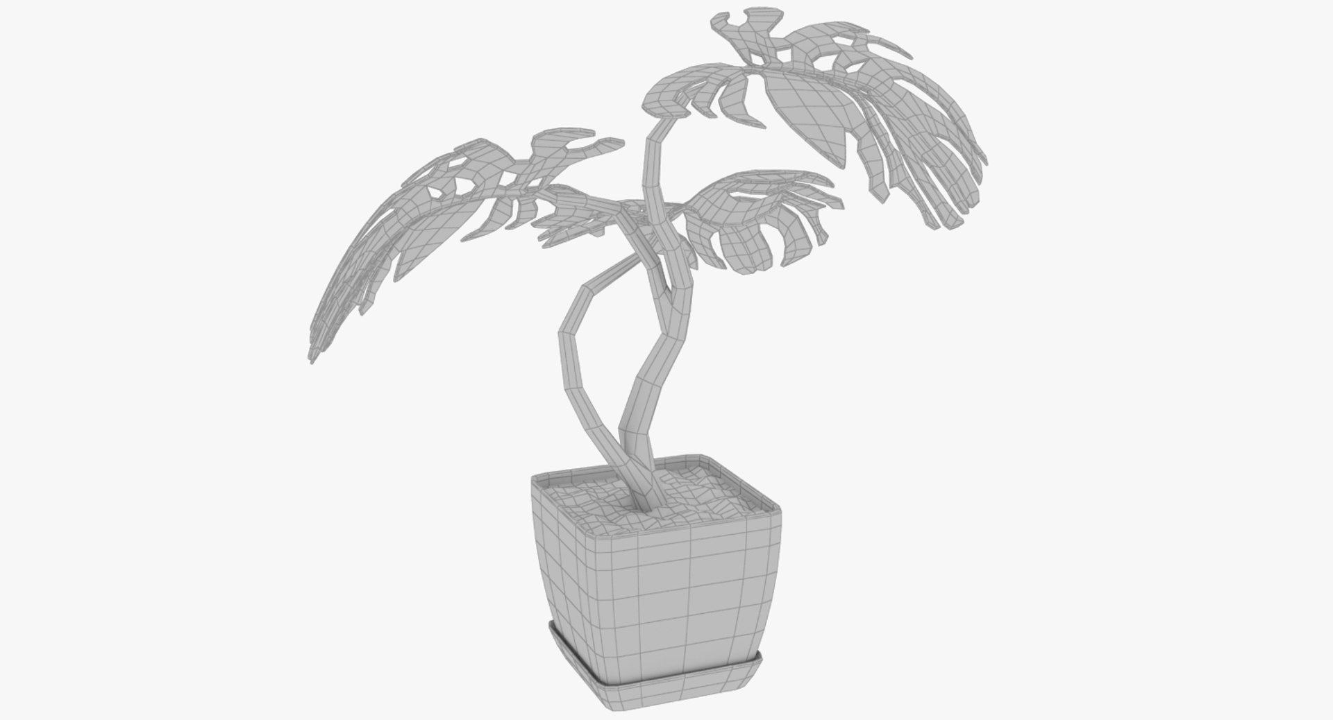 3D monstera pot https://p.turbosquid.com/ts-thumb/XN/JmV0av/KNAboVsG/004_008copy/png/1529947923/1920x1080/fit_q87/7827d7faf2d08a498c6a73c9e537789b0d781773/004_008copy.jpg