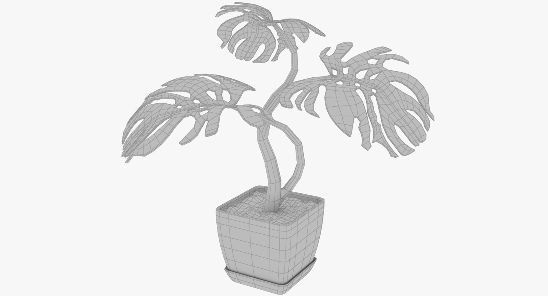 3D monstera pot https://p.turbosquid.com/ts-thumb/XN/JmV0av/KsLpzM9g/004_007copy/png/1529947923/1920x1080/fit_q87/51f76a56c39925aea8a8cf808f92c41810f314b0/004_007copy.jpg