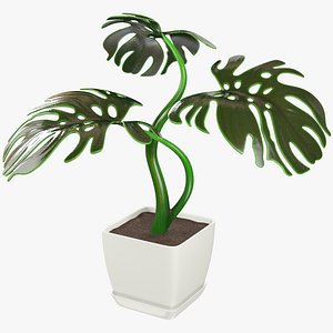 3D monstera pot