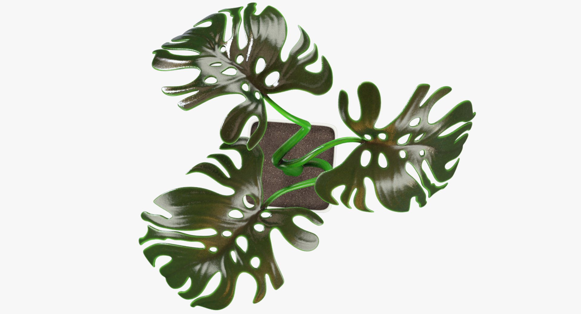 3D monstera pot https://p.turbosquid.com/ts-thumb/XN/JmV0av/VaNILwzI/004_006copy/png/1529947923/1920x1080/fit_q87/7ff97482733a285bdf99c406587b4bc044d312c6/004_006copy.jpg