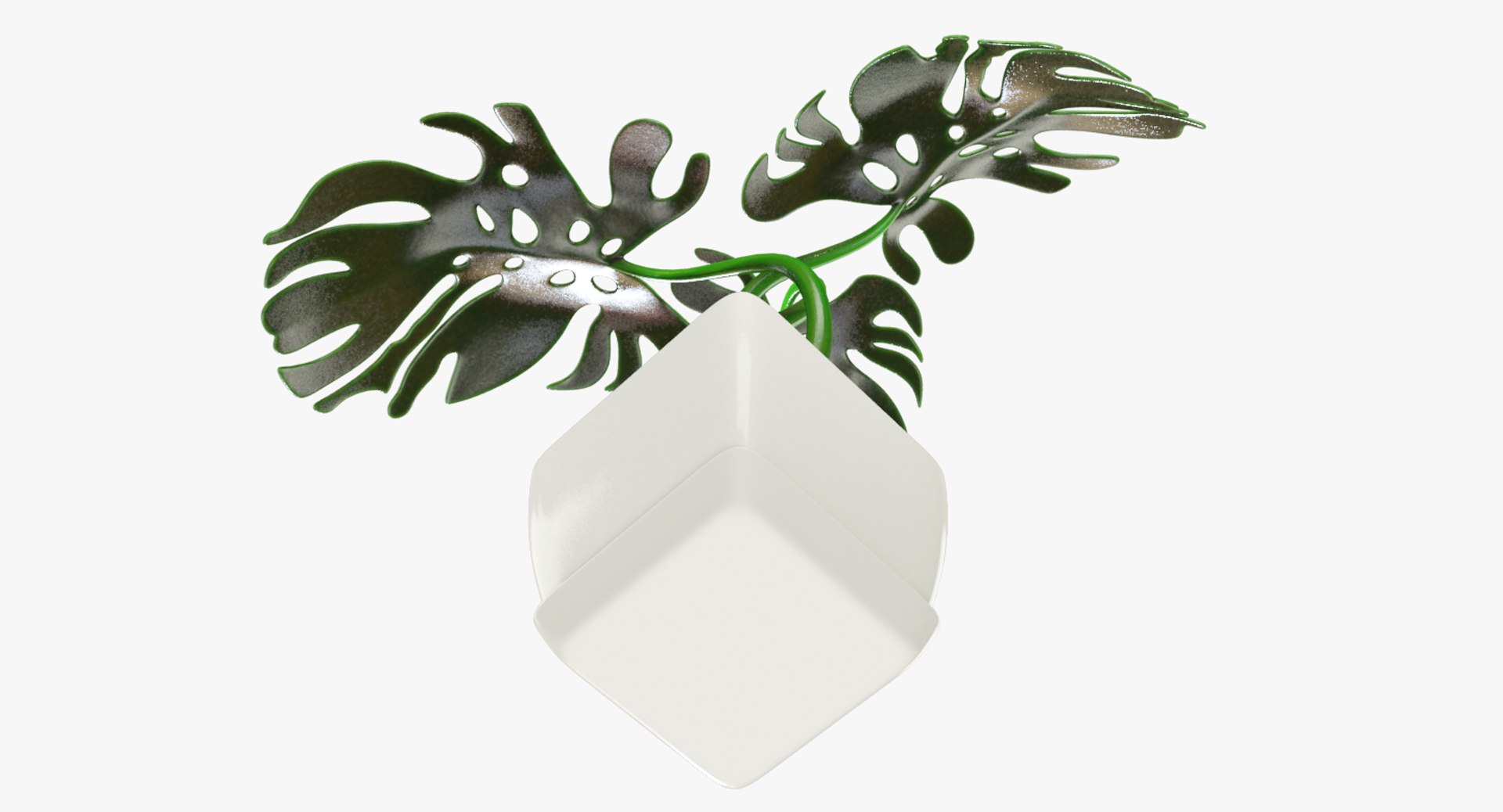3D monstera pot https://p.turbosquid.com/ts-thumb/XN/JmV0av/ic3Mj2Yj/004_005copy/png/1529947923/1920x1080/fit_q87/77a2f152d4db617c7326b8a7fe9f4626e5b87259/004_005copy.jpg