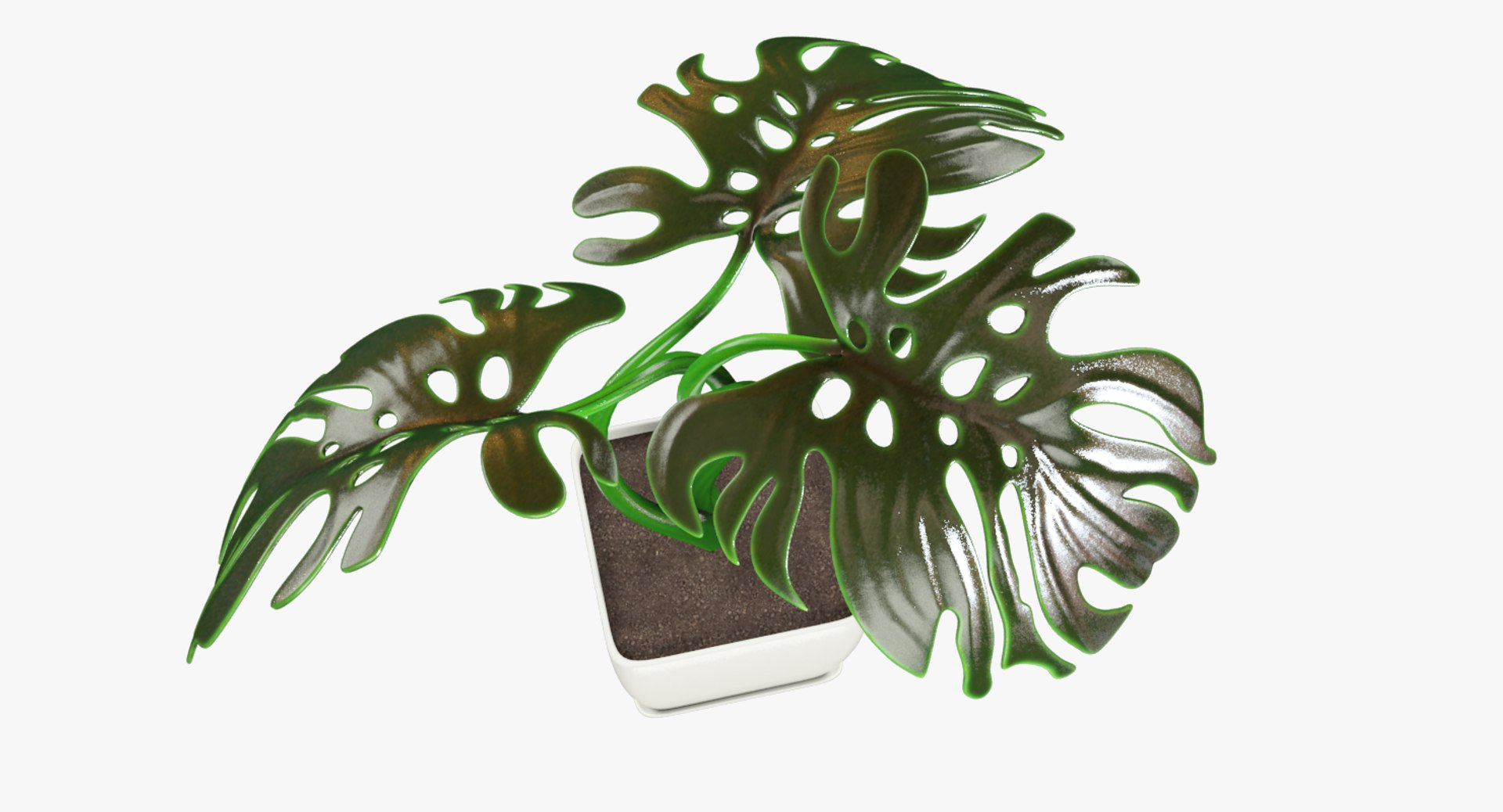 3D monstera pot https://p.turbosquid.com/ts-thumb/XN/JmV0av/lVD02yti/004_002copy/png/1529947923/1920x1080/fit_q87/0a3c3d9257f8d70b73f3b7f3e7202a35b7b0f6d3/004_002copy.jpg