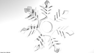 snow snowflake 3D