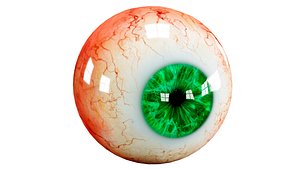 3d model human eye