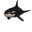 3D ORCA Killer Whale Dolphin FISH model