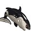 3D ORCA Killer Whale Dolphin FISH model