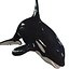 3D ORCA Killer Whale Dolphin FISH model