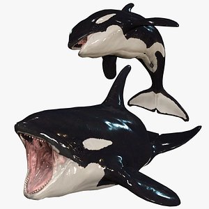 ORCA Killer Whale Dolphin FISH