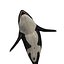 3D ORCA Killer Whale Dolphin FISH model