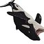 3D ORCA Killer Whale Dolphin FISH model