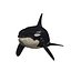 3D ORCA Killer Whale Dolphin FISH model