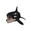 3D ORCA Killer Whale Dolphin FISH model