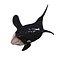 3D ORCA Killer Whale Dolphin FISH model