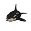 3D ORCA Killer Whale Dolphin FISH model