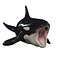 3D ORCA Killer Whale Dolphin FISH model
