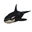 3D ORCA Killer Whale Dolphin FISH model