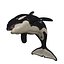 3D ORCA Killer Whale Dolphin FISH model