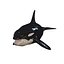 3D ORCA Killer Whale Dolphin FISH model