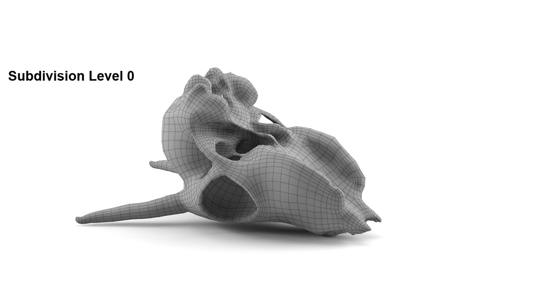 gazelle skull animations 3d max https://p.turbosquid.com/ts-thumb/XN/eTpMRy/9cs6K9VI/sub0back/jpg/1439495164/1920x1080/fit_q87/96b7d8e83e9df4419adcd7d56ab30a39e1edf1e9/sub0back.jpg