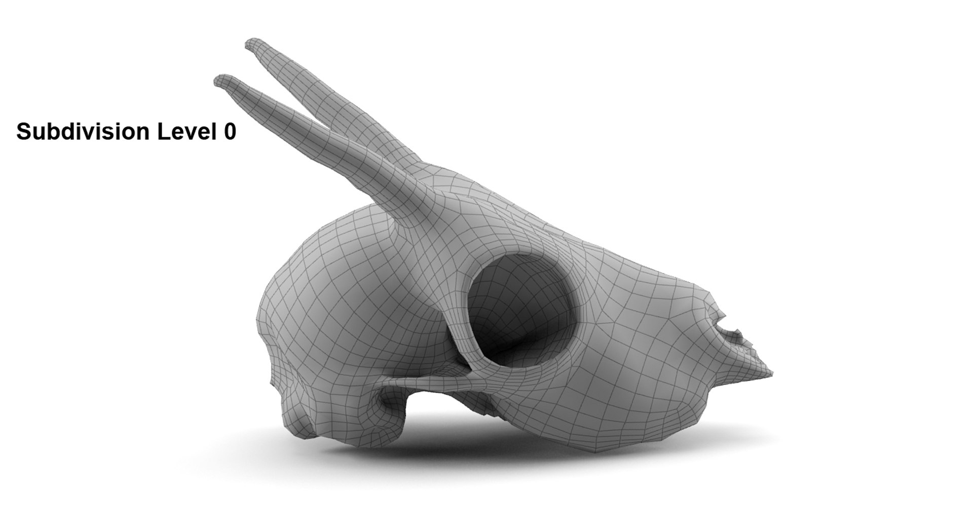 gazelle skull animations 3d max https://p.turbosquid.com/ts-thumb/XN/eTpMRy/arJ9Iosx/sub0/jpg/1439495116/1920x1080/fit_q87/3a2ec778bb8e3d300fcf6bb9e5b62ea32be52aa7/sub0.jpg