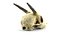 Gazelle Skull