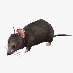 3D Animated mouse