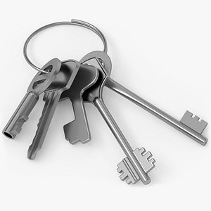3D Keys with keychain A