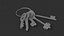 Keys with keychain A