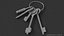 Keys with keychain A