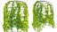 3D Collection 28 - Vines and Creepers model