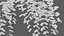 3D Collection 28 - Vines and Creepers model