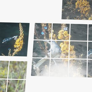 3D Nature Photo Tiles for modern  Kitchens and Bathrooms frames