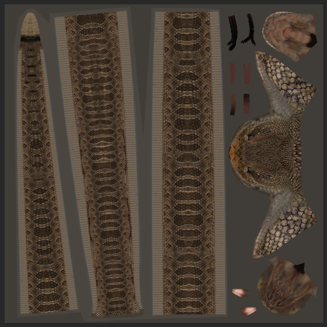 Pro Rattlesnake Snake - 8k - 3d animated 3D https://p.turbosquid.com/ts-thumb/XN/vse73S/0w/20/jpg/1763495041/1920x1080/fit_q87/6e2c961aa1a93079ed3bb052be74474dfac79e0e/20.jpg