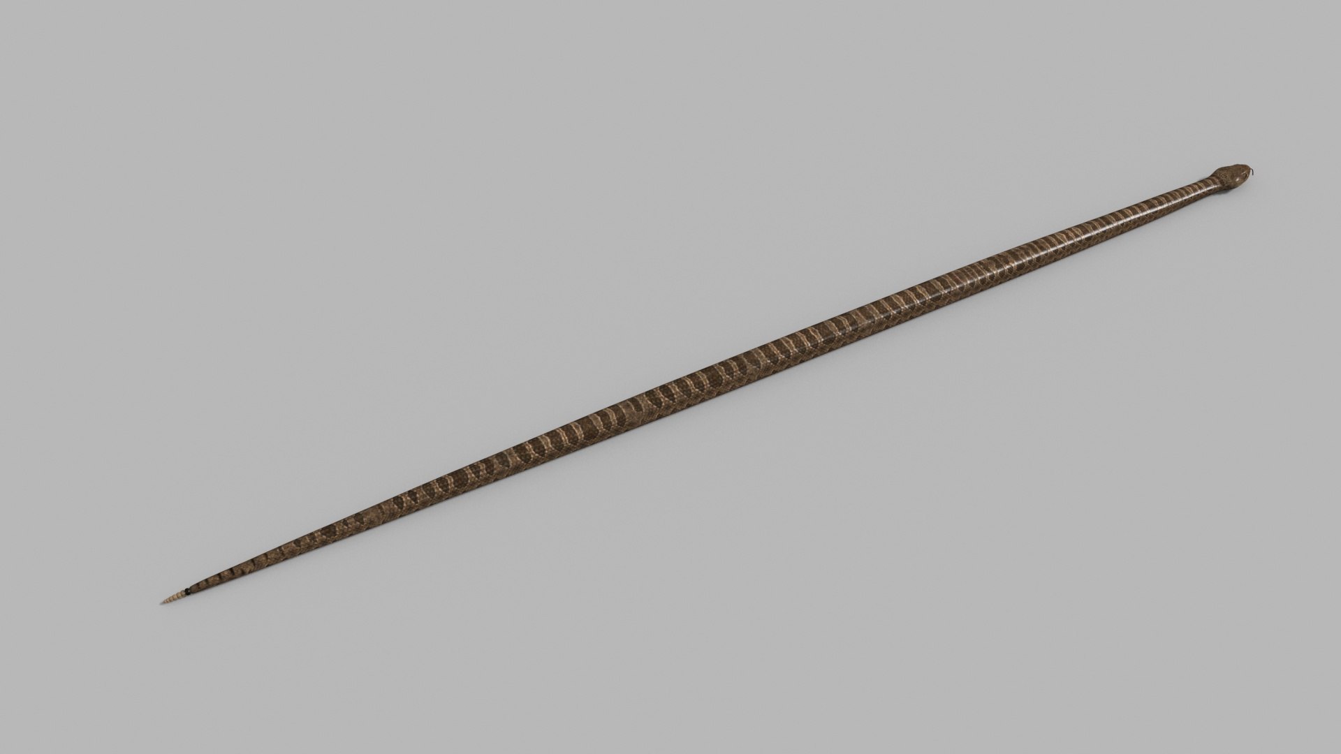 Pro Rattlesnake Snake - 8k - 3d animated 3D https://p.turbosquid.com/ts-thumb/XN/vse73S/N3/3/jpg/1763495032/1920x1080/fit_q87/269792e942a8214d2666c2ef74c455944e86f385/3.jpg