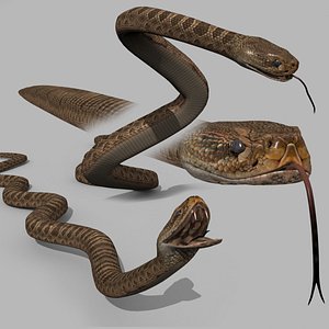 Pro Rattlesnake Snake - 8k - 3d animated 3D