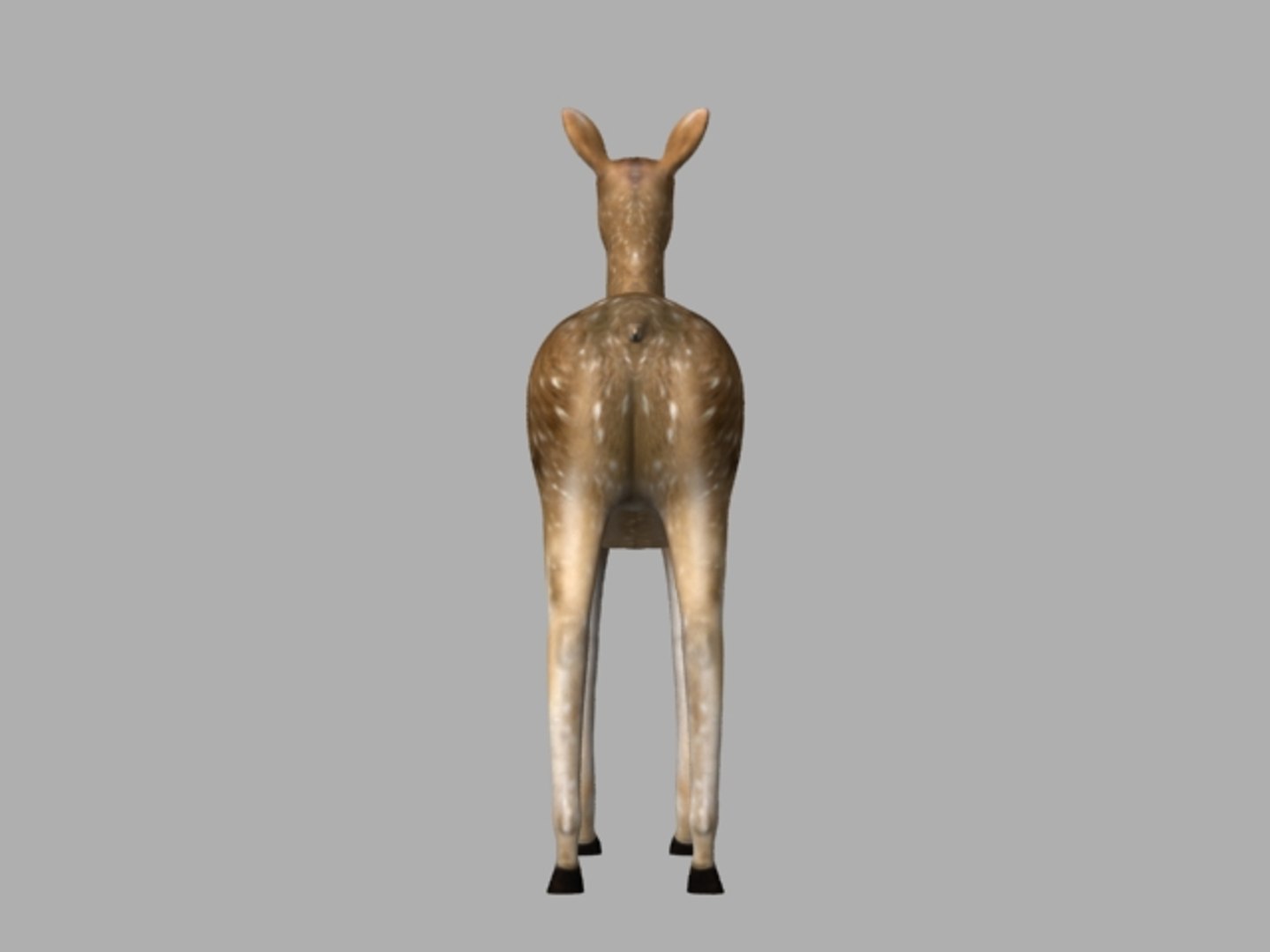 3D animal model https://p.turbosquid.com/ts-thumb/XN/xdzXmO/FKFMeGEA/back/jpg/1553679771/1920x1080/fit_q87/15b214d031dd2add9fe8774fe21c55bc75c78bfd/back.jpg