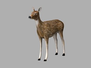 3D animal model