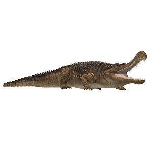 3D Sarcosuchus model
