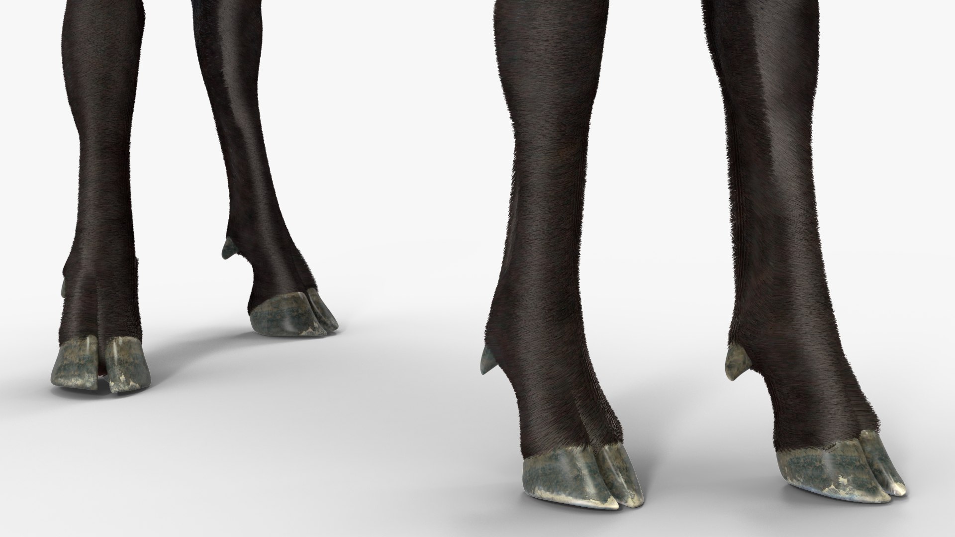 3D Realistic Elk Standing Pose with Fur model https://p.turbosquid.com/ts-thumb/XO/7tpenM/fg/realisticelkstandingposewithfurvray3dmodel016/jpg/1723649605/1920x1080/fit_q87/bcb341c72ca593a0fe6ff13aedafe428a684d7a7/realisticelkstandingposewithfurvray3dmodel016.jpg