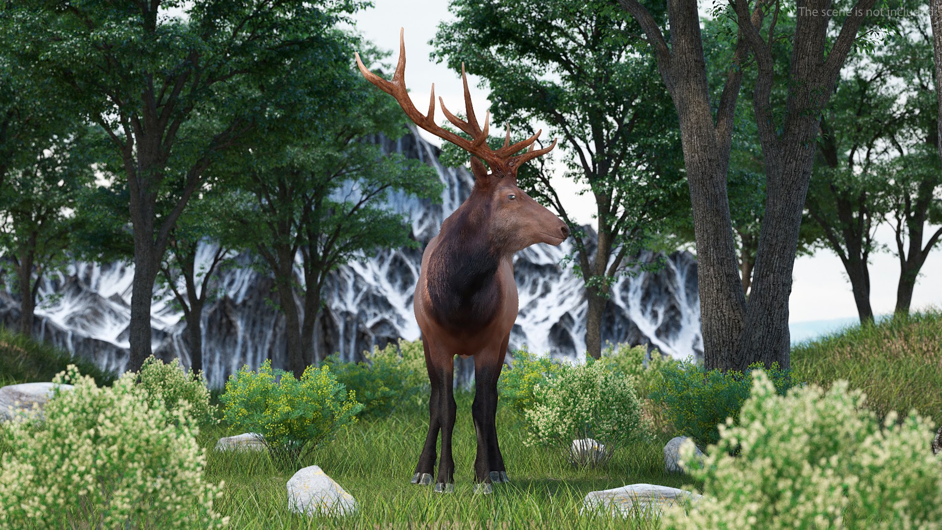 3D Realistic Elk Standing Pose with Fur model https://p.turbosquid.com/ts-thumb/XO/7tpenM/ij/realisticelkstandingposewithfurvray3dmodel004/jpg/1723649540/1920x1080/fit_q87/5bd6319bd4156ae6e1849e1bab6704051b3ac251/realisticelkstandingposewithfurvray3dmodel004.jpg