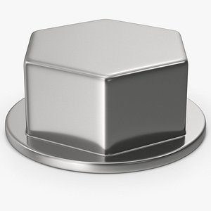 Bolt Head 3D model
