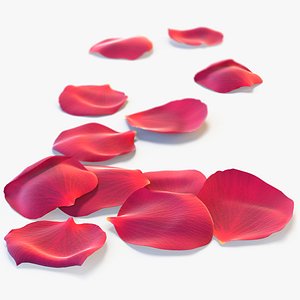Realistic Rose Petals 3D Model - High-Quality 4K PBR Asset