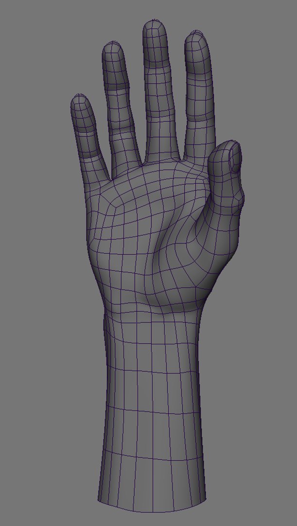 Realistic Rigged Hand 3d Fbx