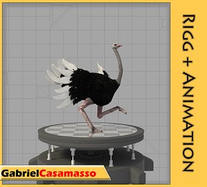 3d ostrich struthio camelus