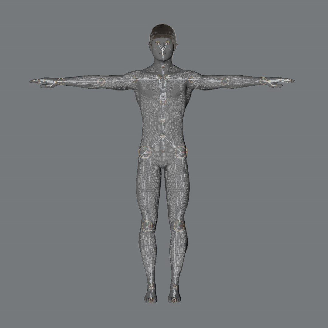 3ds max character lee https://p.turbosquid.com/ts-thumb/XO/lLrdwR/tGC4YqEF/wf4/jpg/1362311783/1920x1080/fit_q87/8d28cee05869c8983bdf40fa2be788965ffbcd31/wf4.jpg
